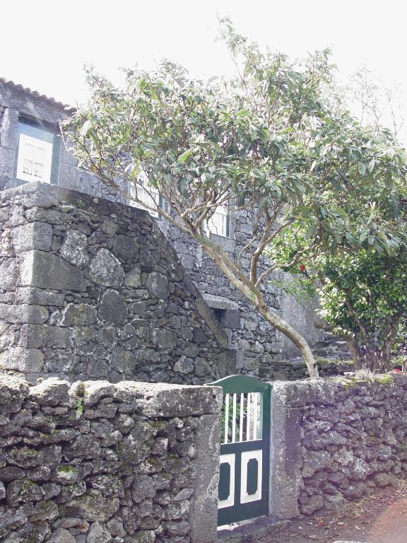 Casas De Campo Housesinpico Prainha  외부 사진